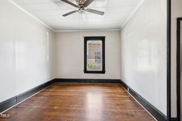 2927 S Church St, Rocky Mount, NC 27803 - photo 11