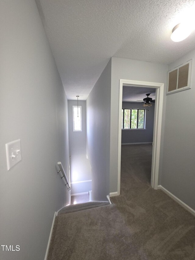 5893 Shady Grove Cir, Raleigh, NC 27609 - photo 26