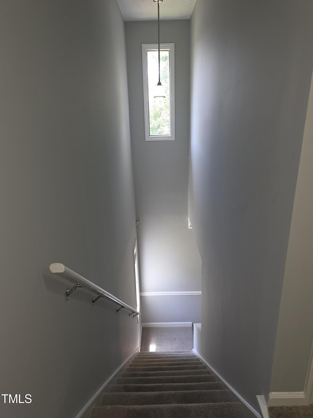 5893 Shady Grove Cir, Raleigh, NC 27609 - photo 28