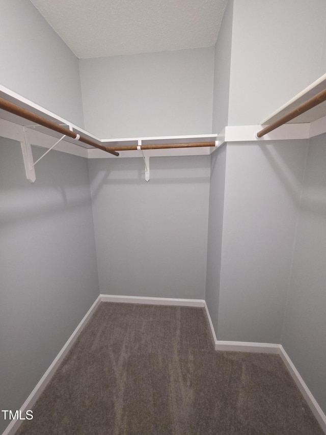 5893 Shady Grove Cir, Raleigh, NC 27609 - photo 24