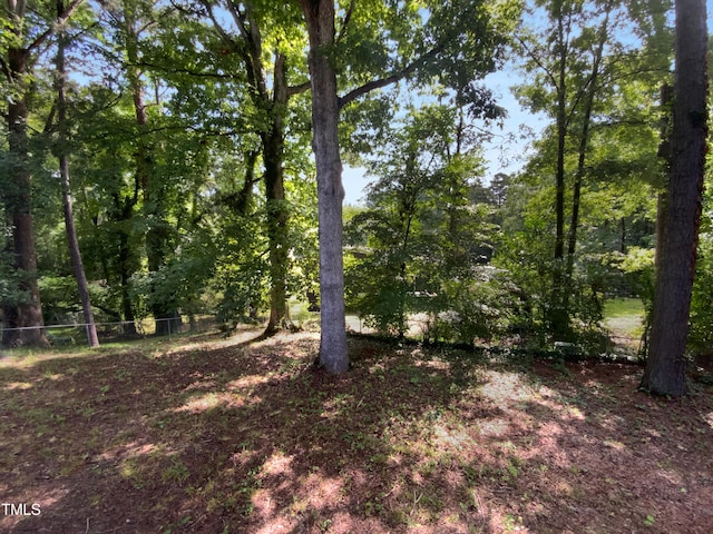 3721 Suffolk St, Durham, NC 27707 - view of nature