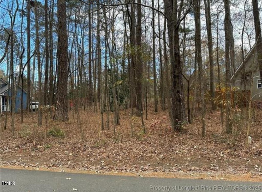 1486 Kentucky Ave, Sanford, NC 27332 - photo 2