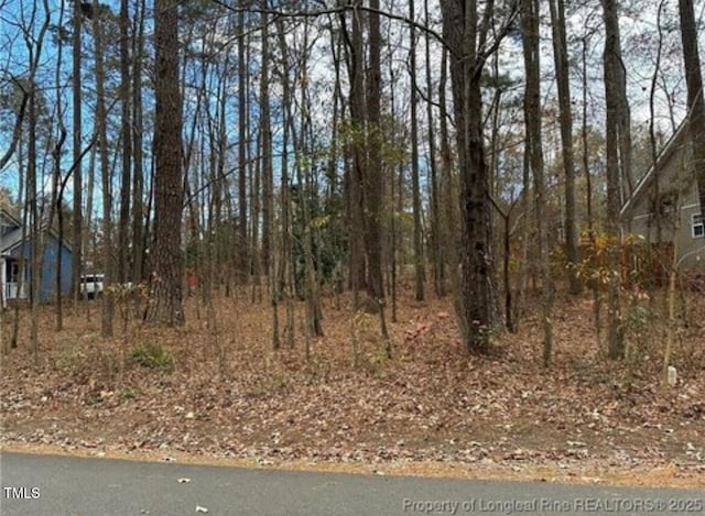 1486 Kentucky Ave, Sanford, NC 27332 - photo 2