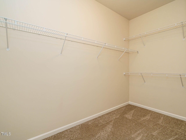 613 Ashbrittle Dr, Rolesville, NC 27571 - photo 28
