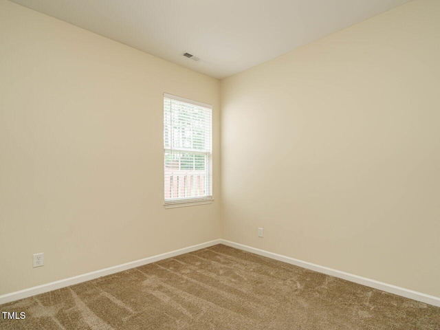 613 Ashbrittle Dr, Rolesville, NC 27571 - photo 29