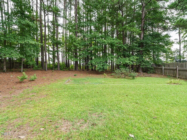 613 Ashbrittle Dr, Rolesville, NC 27571 - photo 34