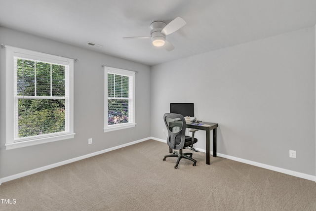 10638 Cardington Ln, Raleigh, NC 27614 - photo 34