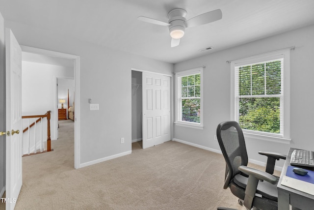 10638 Cardington Ln, Raleigh, NC 27614 - photo 35
