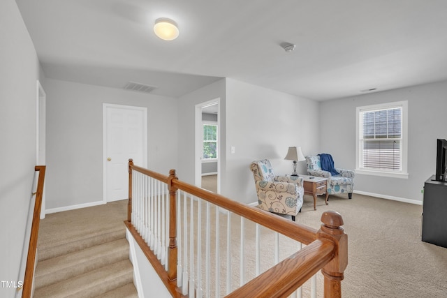 10638 Cardington Ln, Raleigh, NC 27614 - photo 31
