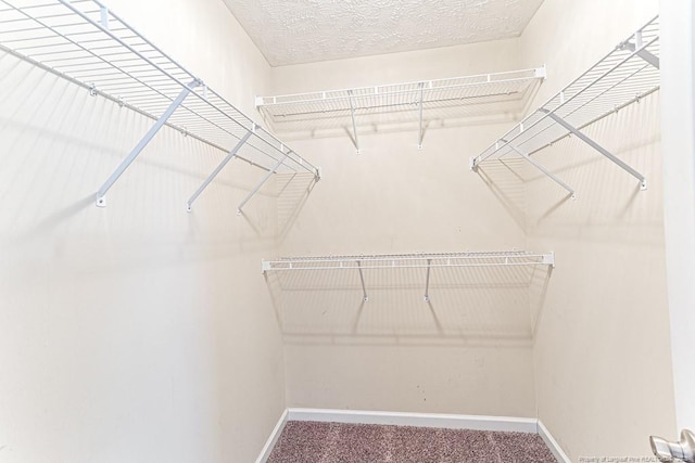 5228 Wallbrook Dr, Fayetteville, NC 28306 - walk in closet featuring carpet flooring