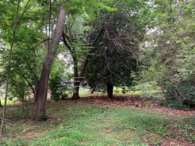 1806 Rendall St, Burlington, NC 27215 - photo 19