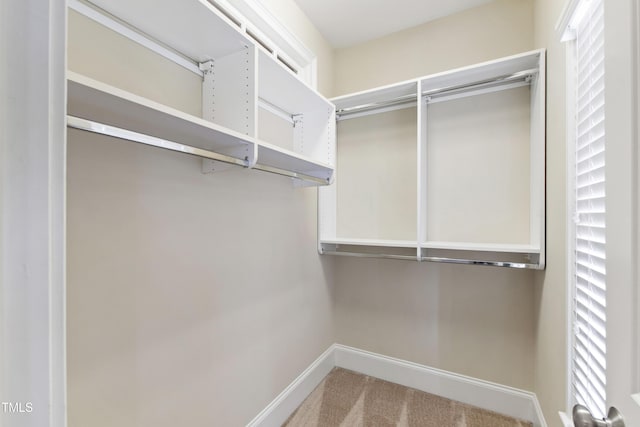 307 Beacon Falls Ct, Cary, NC 27519 - walk in closet with carpet