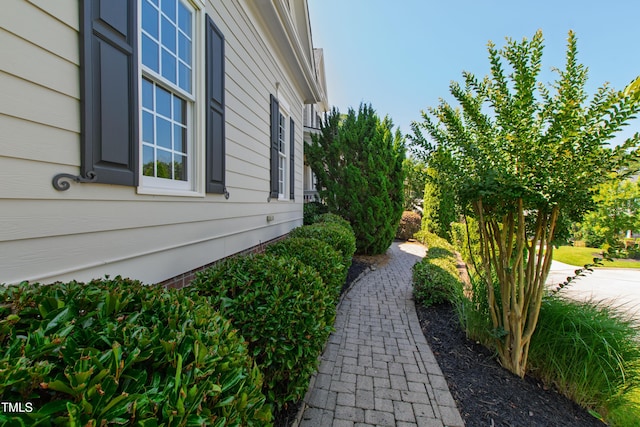 307 Beacon Falls Ct, Cary, NC 27519 - view of yard