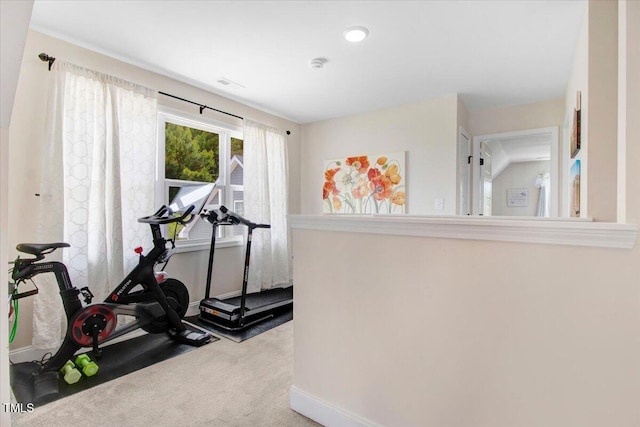 282 Brodie Rose Landing Way, Smithfield, NC 27577 - workout area featuring carpet floors and baseboards