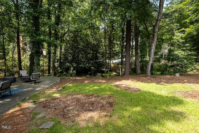 410 Widdington Ln, Cary, NC 27519 - photo 7