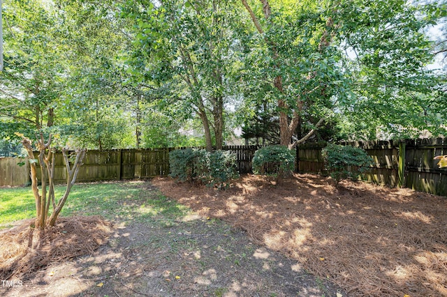 102 Fallon Ct, Apex, NC 27539 - photo 42