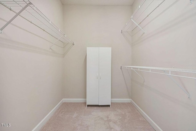 125 Chimney Rise Dr, Cary, NC 27511 - spacious closet with carpet floors