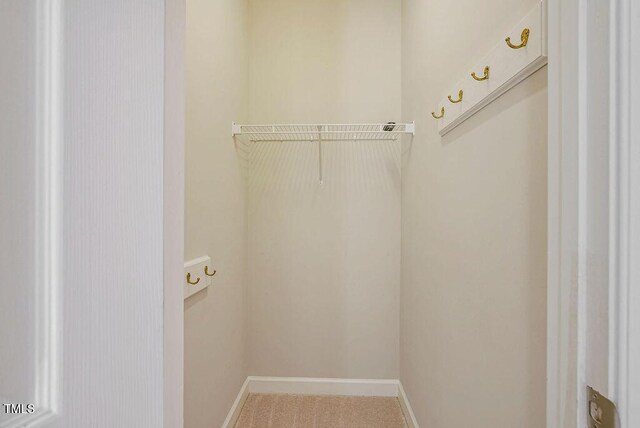 125 Chimney Rise Dr, Cary, NC 27511 - spacious closet with carpet flooring