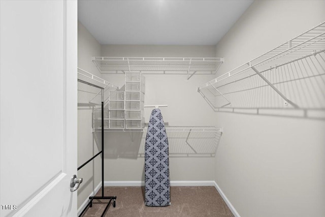 333 Amber Acorn Ave, Raleigh, NC 27603 - walk in closet featuring carpet floors