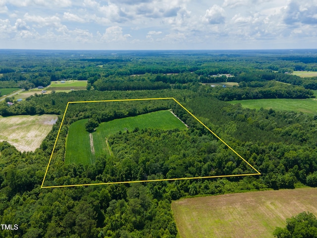 0 Farmers Union Rd, Clarkton, NC 28433 - photo 1