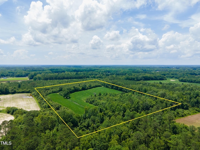 0 Farmers Union Rd, Clarkton, NC 28433 - photo 7