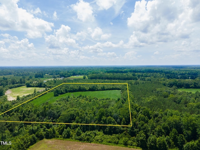 0 Farmers Union Rd, Clarkton, NC 28433 - photo 9