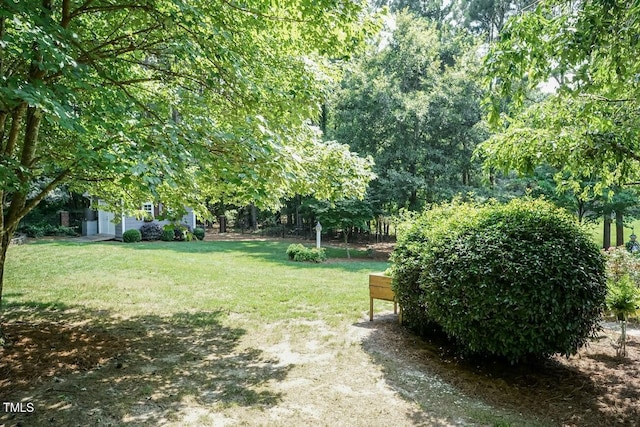 109 Fox Trap Ct, Garner, NC 27529 - view of green lawn