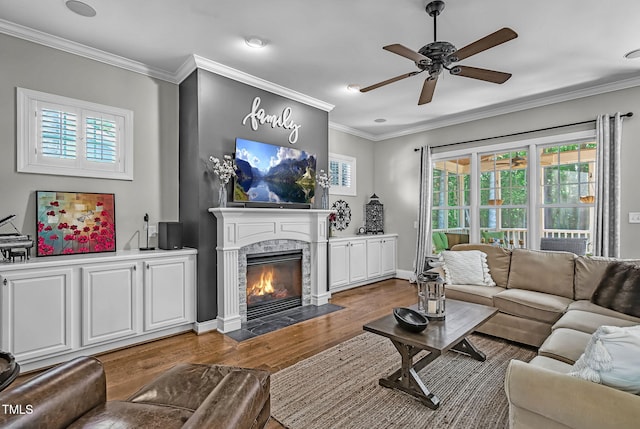 101 Tatum Ct, Holly Springs, NC 27540 - living area with wood finished floors, plenty of natural light, ceiling fan, a stone fireplace, and crown molding