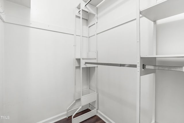 1320 Park Glen Dr Unit 204, Raleigh, NC 27610 - walk in closet with dark wood-type flooring