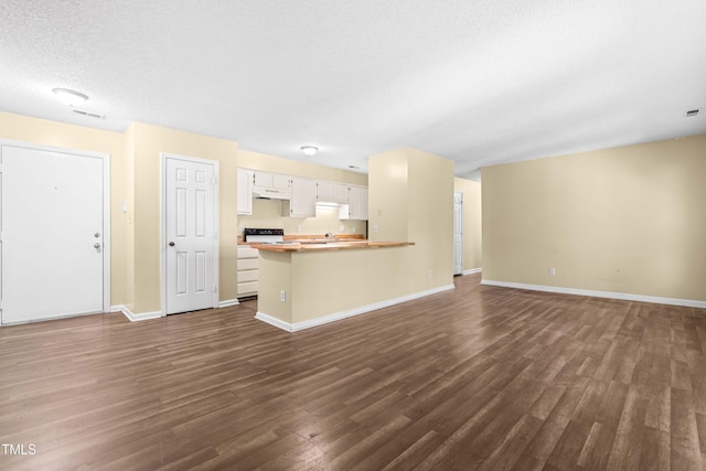 1320 Park Glen Dr Unit 204, Raleigh, NC 27610 - unfurnished living room featuring dark wood-style flooring and a textured ceiling
