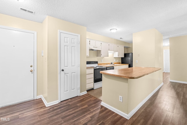 1320 Park Glen Dr Unit 204, Raleigh, NC 27610 - kitchen featuring white electric stove, freestanding refrigerator, under cabinet range hood, dark wood-type flooring, and white cabinetry