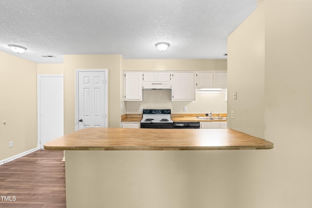 1320 Park Glen Dr Unit 204, Raleigh, NC 27610 - kitchen with electric stove, under cabinet range hood, white cabinets, dark wood-type flooring, and a textured ceiling