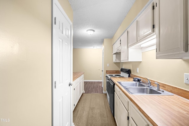 1320 Park Glen Dr Unit 204, Raleigh, NC 27610 - kitchen with electric range, light countertops, light wood-type flooring, a textured ceiling, and white cabinets