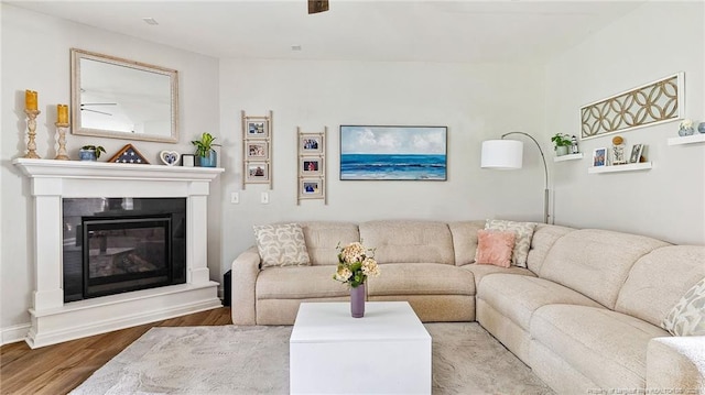 75 Bynum Ct, Carthage, NC 28327 - living room with wood finished floors and a glass covered fireplace
