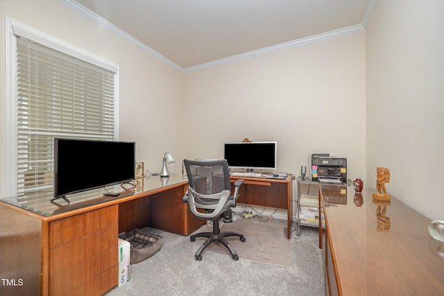 1204 E Rosedale Creek Dr, Durham, NC 27703 - carpeted home office featuring ornamental molding