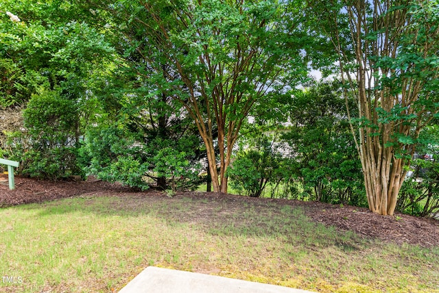 575 Tomkins Loop, Cary, NC 27519 - view of grassy yard
