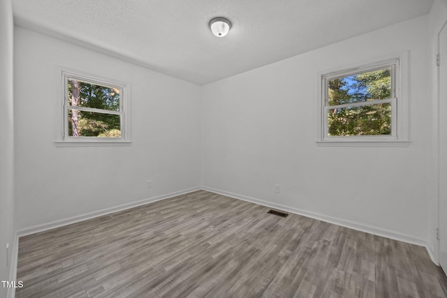 37 Weeping Willow Ln, Lillington, NC 27546 - unfurnished room with plenty of natural light, wood finished floors, and a textured ceiling