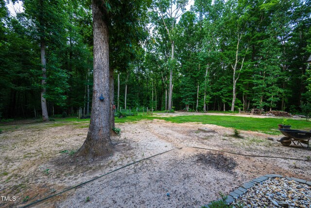 698 Maple Springs Ln, Bear Creek, NC 27207 - photo 48