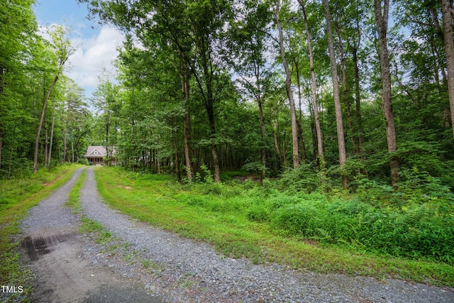 698 Maple Springs Ln, Bear Creek, NC 27207 - photo 52