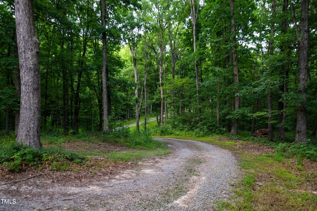 698 Maple Springs Ln, Bear Creek, NC 27207 - photo 53