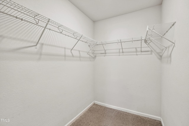 1561 Dorsett Ln, Creedmoor, NC 27522 - spacious closet with carpet