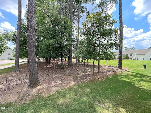 6086 Beale Loop, Raleigh, NC 27616 - photo 24