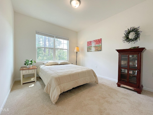 6086 Beale Loop, Raleigh, NC 27616 - photo 18