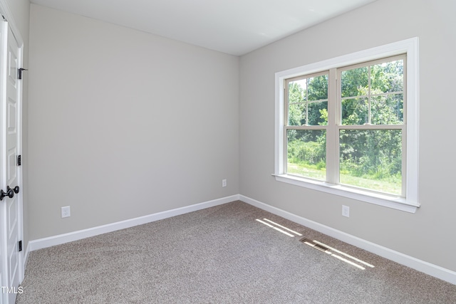 2760 Rains Mill Rd, Princeton, NC 27569 - photo 26