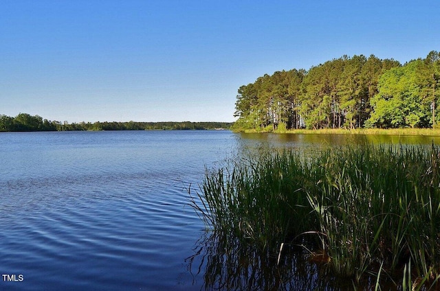 161 Jacob St, Holly Springs, NC 27540 - water view