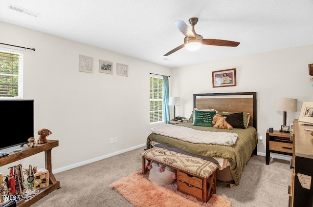 704 Peach Orchard Dr, Browns Summit, NC 27214 - photo 12