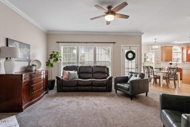 1505 Mclaurin Ln, Fuquay Varina, NC 27526 - living area featuring crown molding, healthy amount of natural light, a ceiling fan, light carpet, and a chandelier