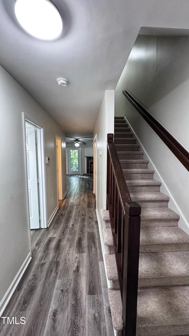 132 Carriage House Trl, Garner, NC 27529 - staircase featuring wood finished floors and a ceiling fan