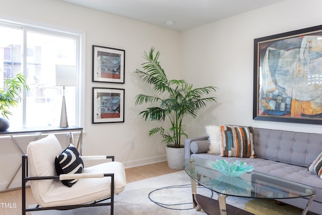 1309 Hudson Ave Unit D6, Durham, NC 27705 - living room with light wood-style flooring and baseboards