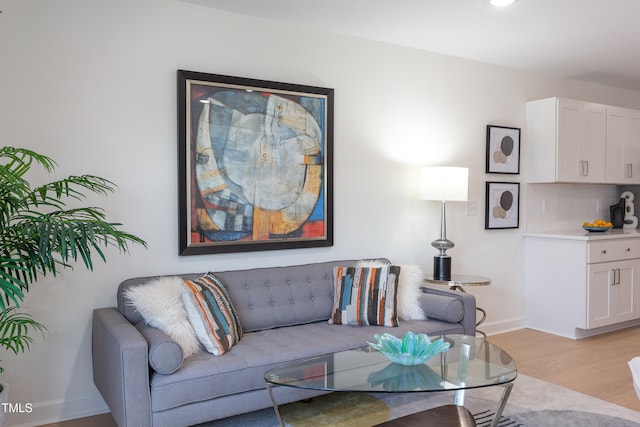 1309 Hudson Ave Unit D6, Durham, NC 27705 - living room featuring light wood finished floors and baseboards